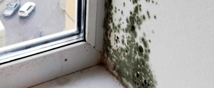 Промерзают стены в квартире: причины и решение проблемы